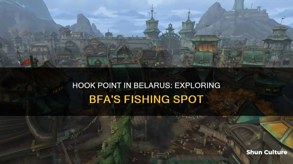 where is hook point in belarus in bfa