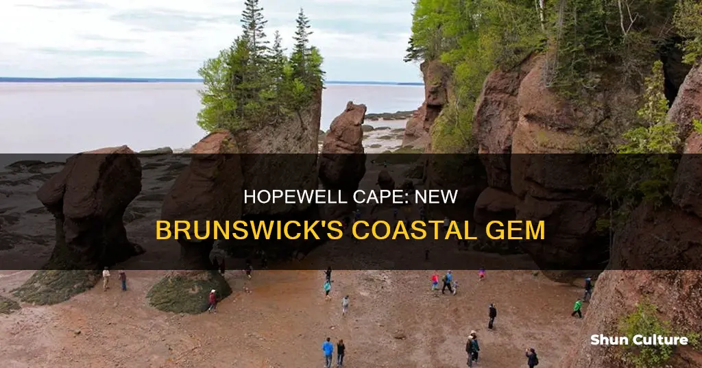 where is hopewell cape new brunswick