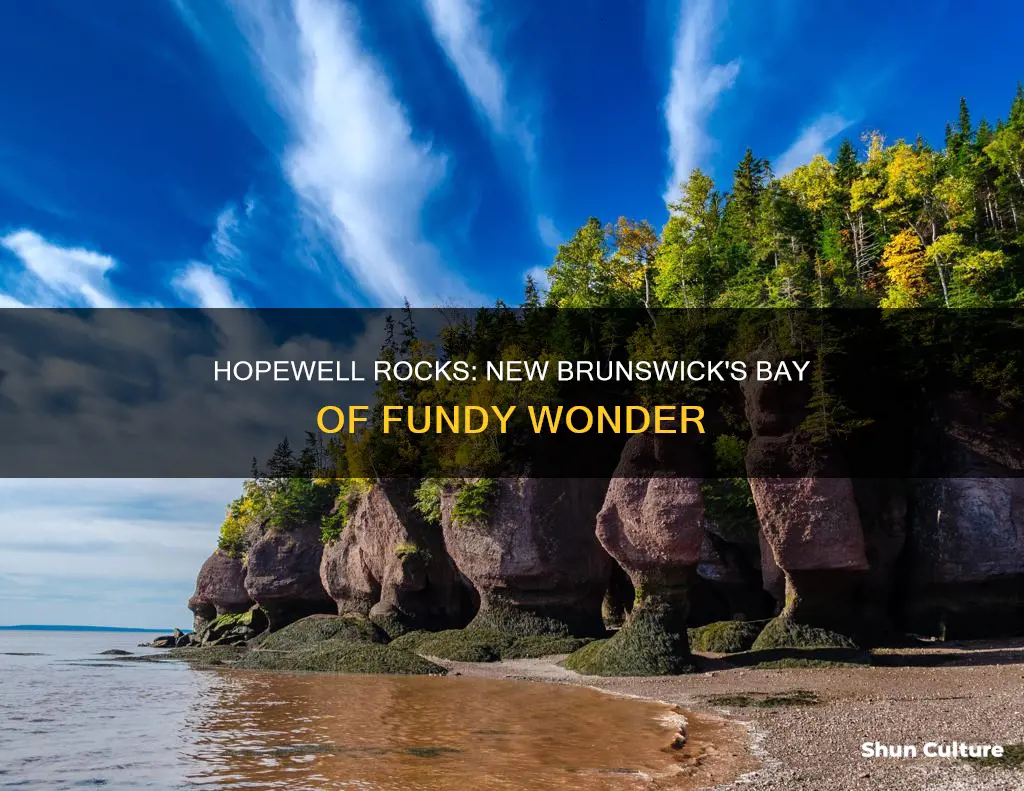 where is hopewell rocks located in new brunswick