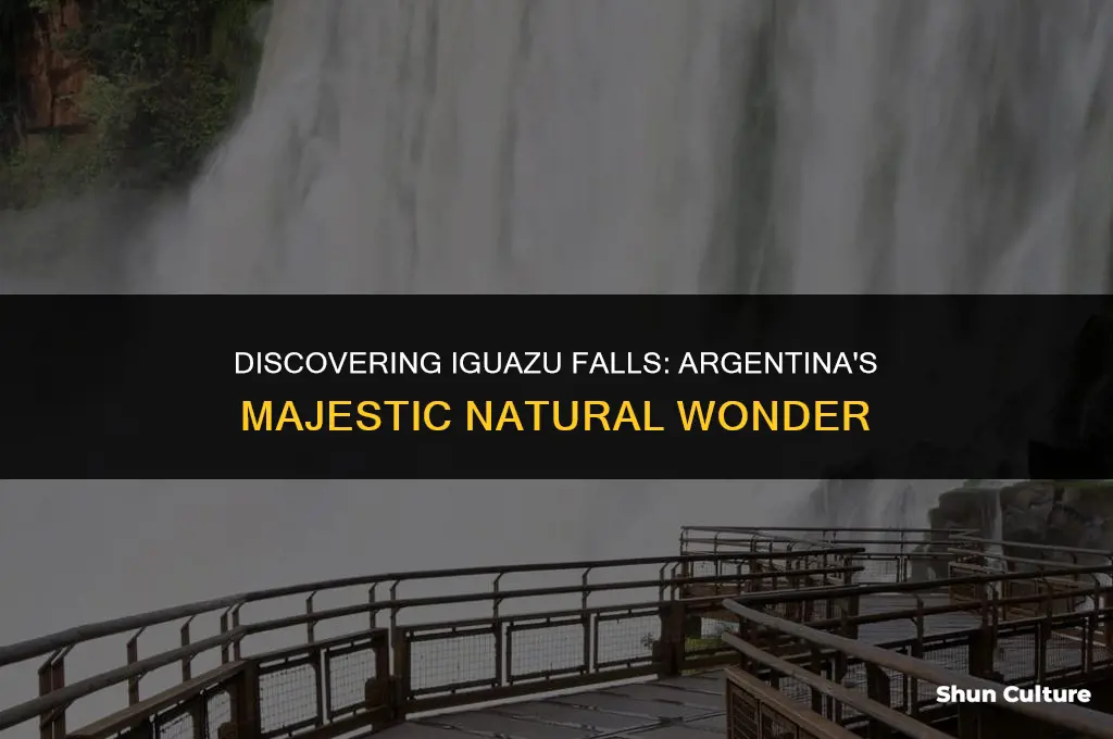 where is iguazu falls in argentina