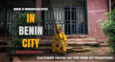 Navigating the Immigration Office in Benin City: A Comprehensive Guide