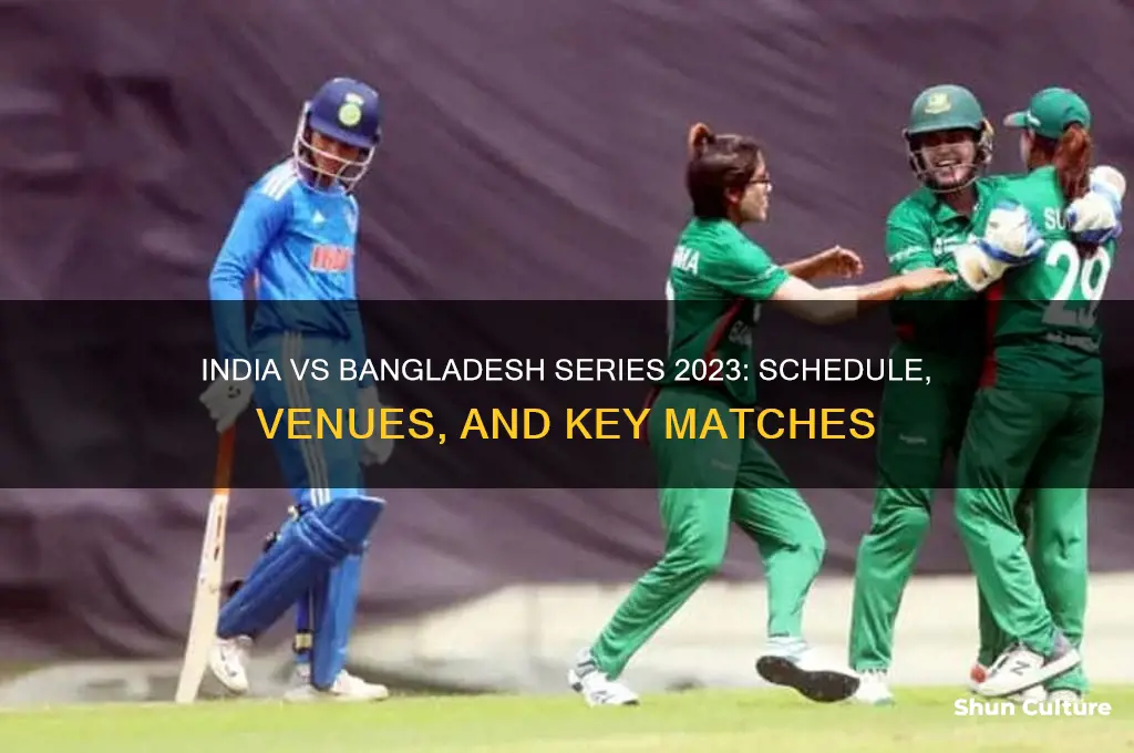 where is india bangladesh series