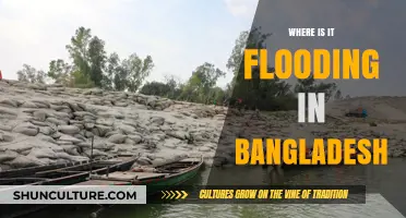 Bangladesh Flood Crisis: Affected Areas and Ongoing Relief Efforts