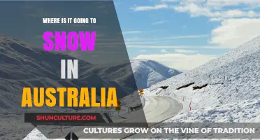 Where Will Snowfall Hit Australia This Season? A Regional Forecast