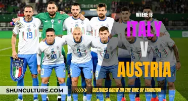 Italy vs. Austria: Where the Match Will Take Place