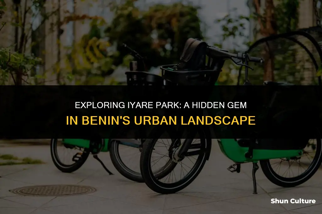 where is iyare park in benin