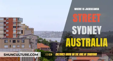 Discovering Jacaranda Street: Sydney's Hidden Gem and Its Exact Location