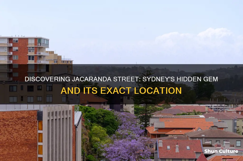where is jacracanda street sydney australia
