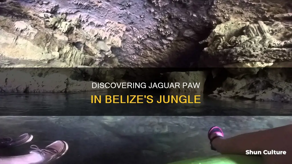 where is jaguar paw belize