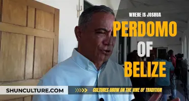 Belizean Joshua Perdomo: Where Is He?