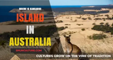 Kangaroo Island: Australia's Wildlife Sanctuary