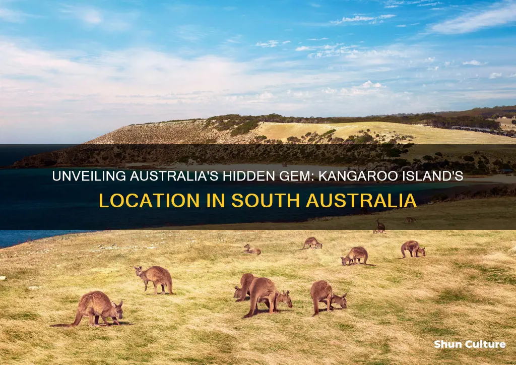 where is kangaroo island in south austria