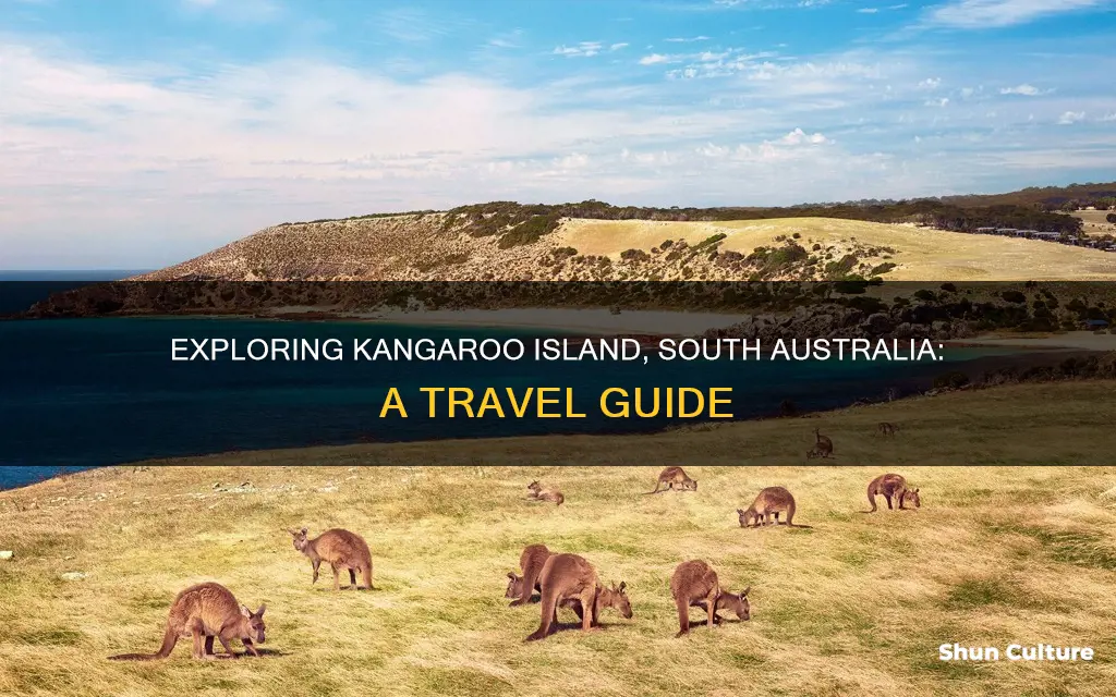 where is kangaroo island in south austria