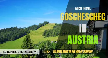 Karl Goschescheck's Austrian Adventure: Unveiling His Current Location