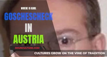 Finding Karl Goschescheck in Austria: Where is He?