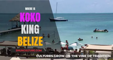 Koko King: Belize's Secret Gem