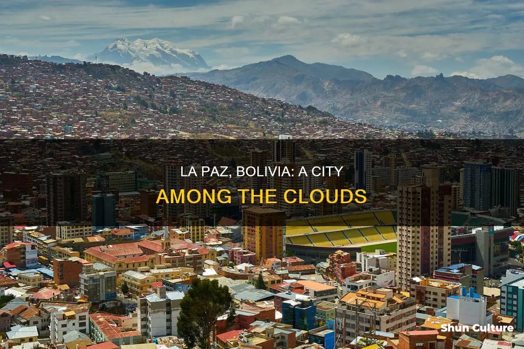 where is la paz located in bolivia