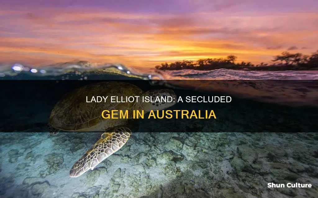 where is lady elliot island australia