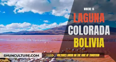 Exploring Bolivia's Laguna Colorada: A Natural Wonder