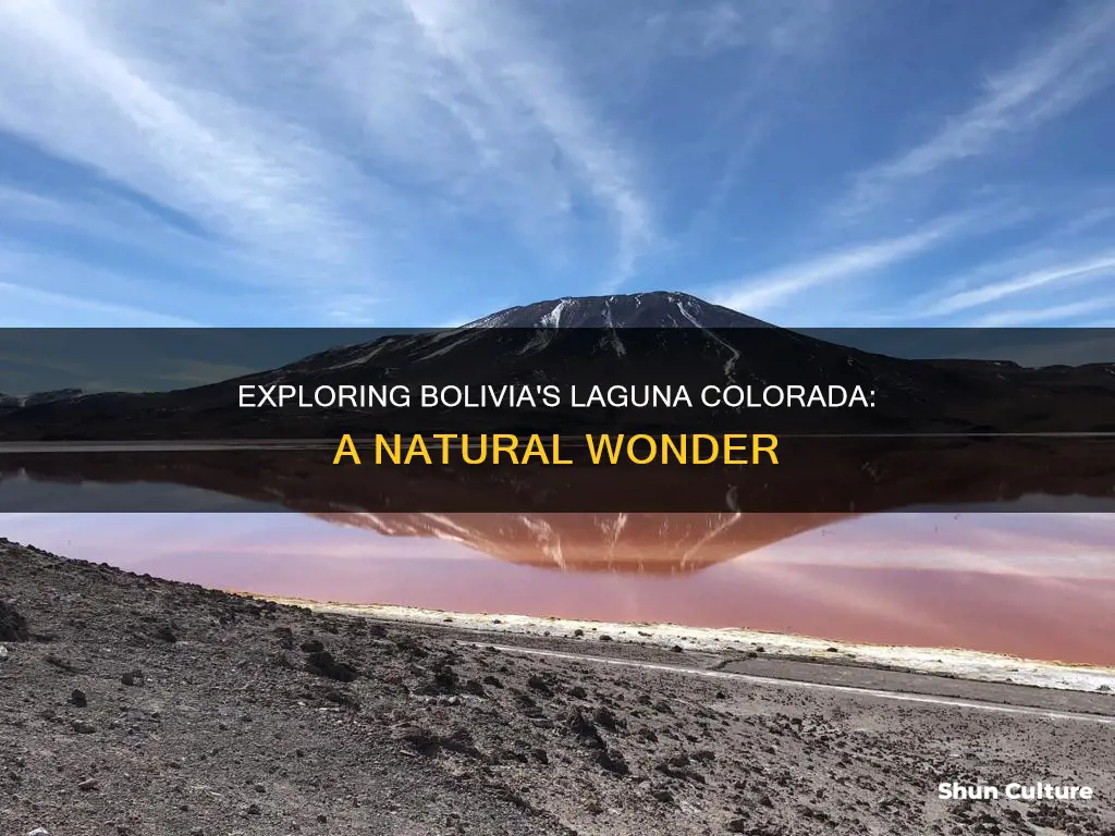 where is laguna colorada bolivia