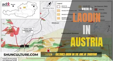 Laodin's Austrian Adventure: Unveiling the Mystery of Her Location