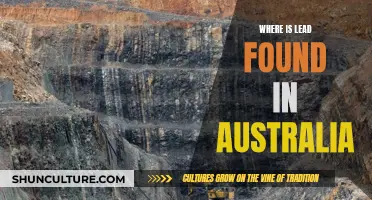 Sources of Lead in Australia: A Comprehensive Overview