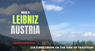 Leibniz Austria: A University's Unique Location and Impact
