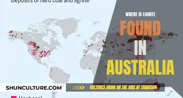 Lignite Deposits: Australia's Abundant Natural Resource