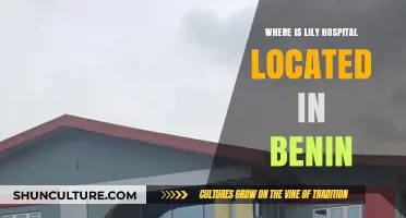Exploring Benin: The Quest for Lily Hospital's Exact Location