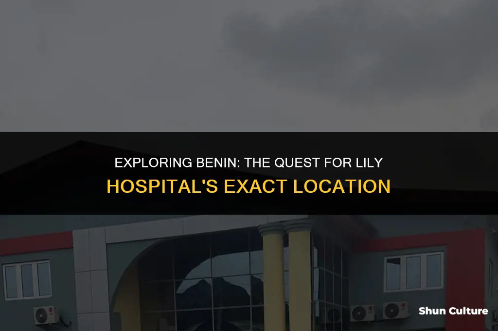 where is lily hospital located in benin