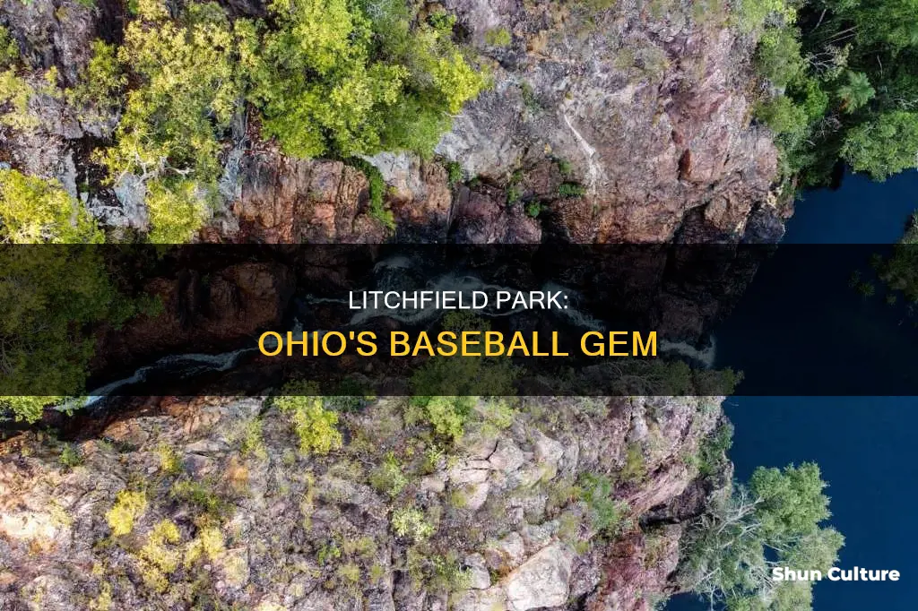 where is litchfield baseball park from brunswick ohio