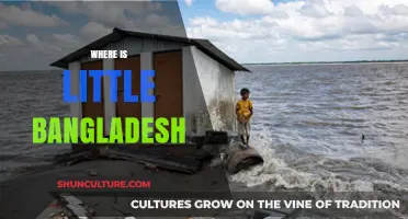Exploring Little Bangladesh: Location, Culture, and Community Highlights