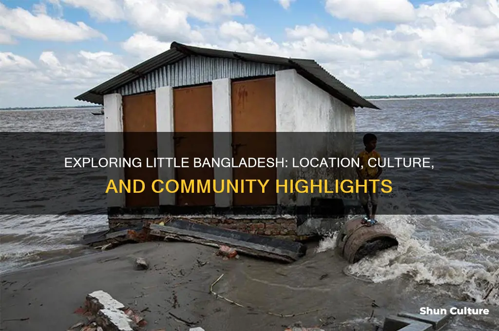 where is little bangladesh