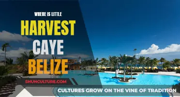 Little Harvest Caye: Belize's Private Island Escape