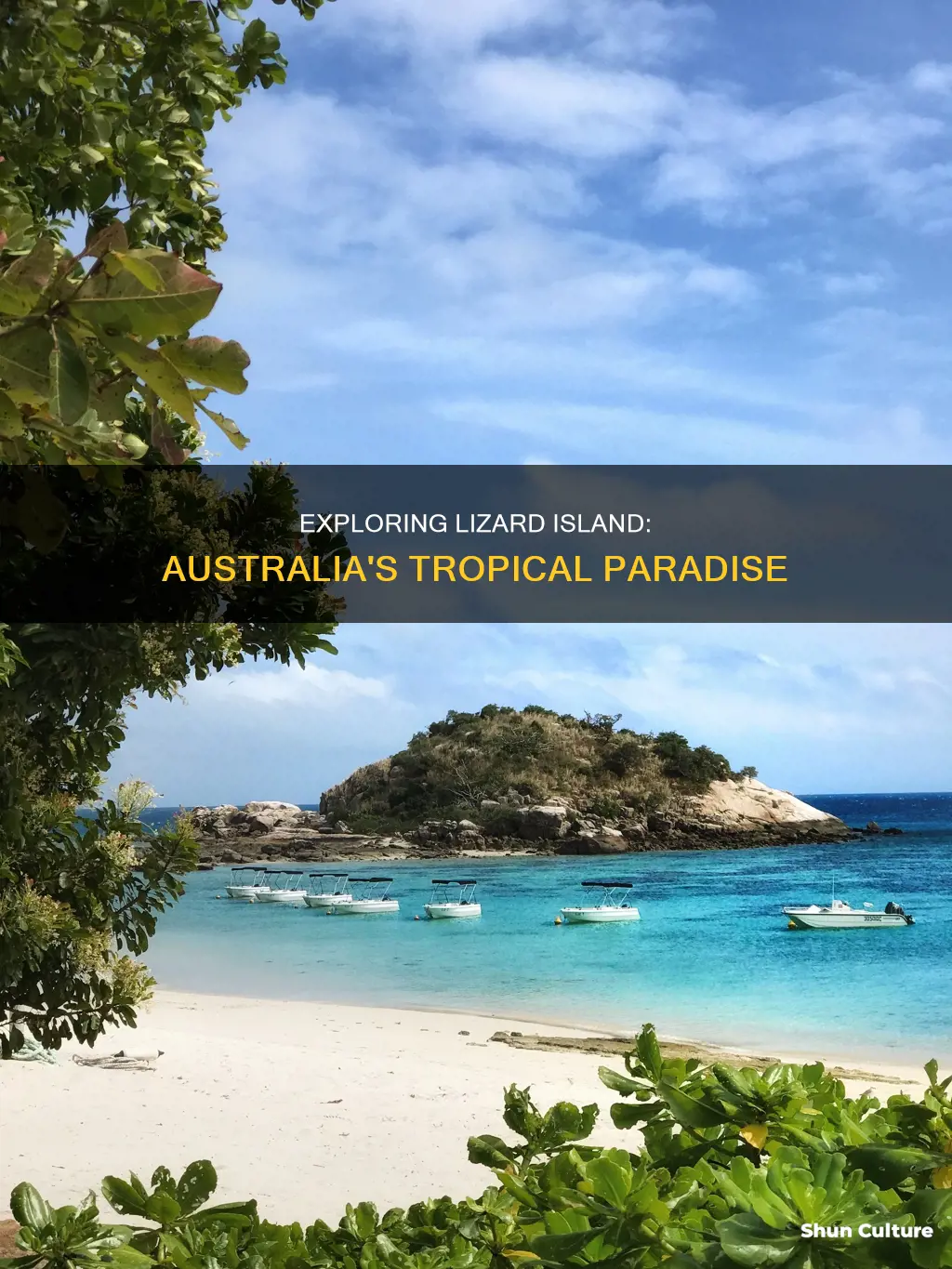 where is lizard island australia