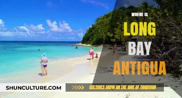 Discovering Long Bay Antigua: Location, Beauty, and Hidden Gems