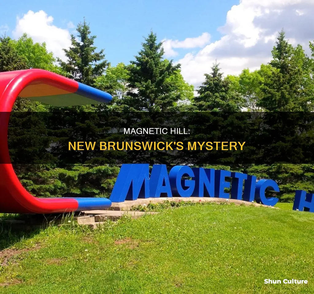 where is magnetic hill in new brunswick