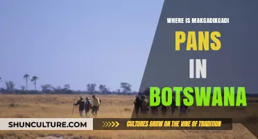 Exploring Botswana's Makgadikgadi Pans: Location, History, and Unique Features