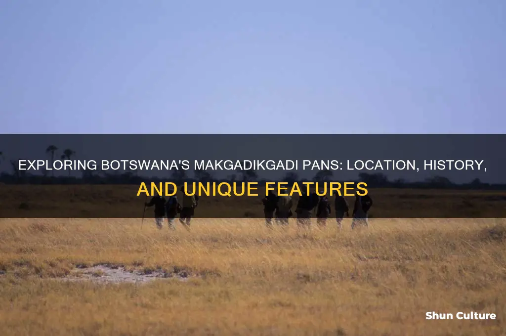 where is makgadikgadi pans in botswana