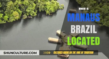 Discovering Manaus: Unveiling the Heart of the Amazon Rainforest in Brazil