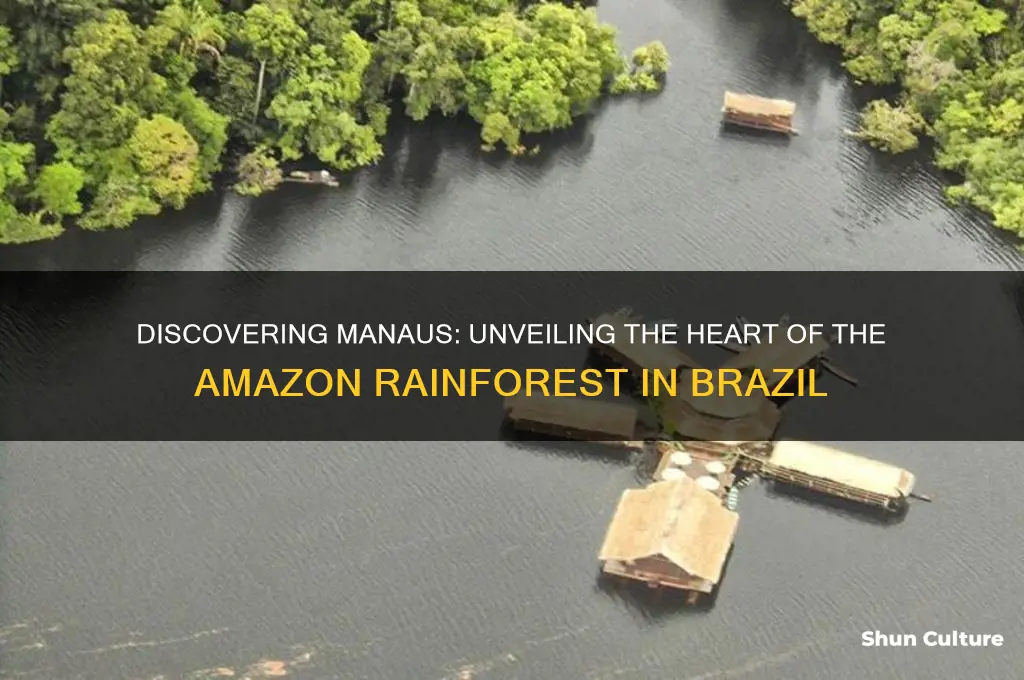 where is manaus brazil located