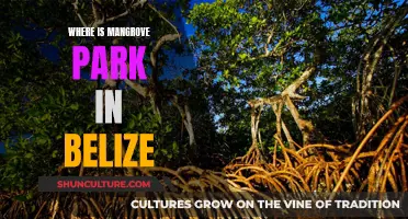 Mangrove Park: Belize's Natural Paradise