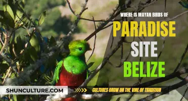 Mayan Birds Paradise in Belize