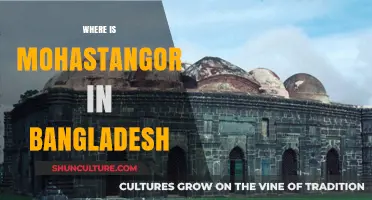 Discovering Mohastangor: Location and Significance in Bangladesh Explained