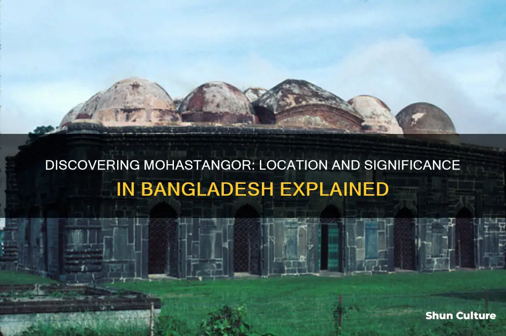 where is mohastangor in bangladesh