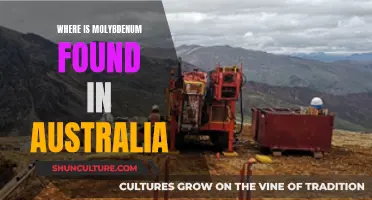 Molybdenum Deposits in Australia: Where to Find Them?