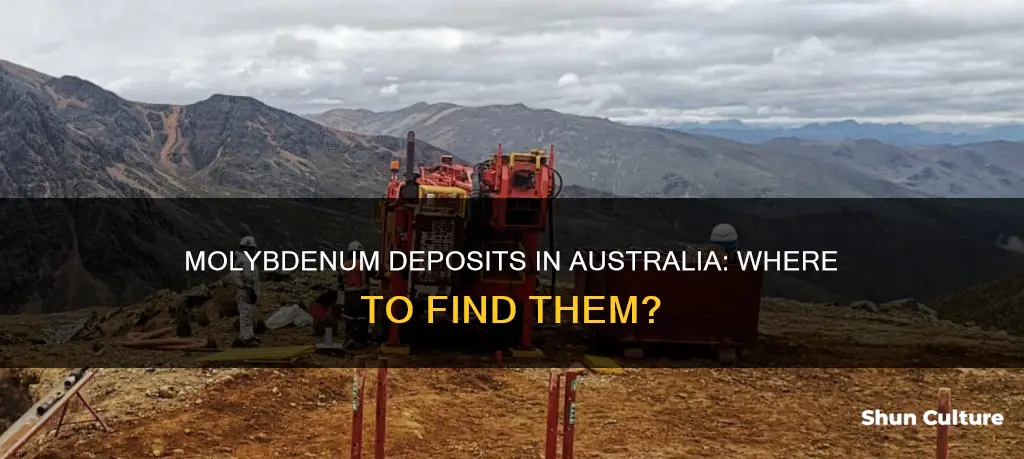 where is molybdenum found in australia