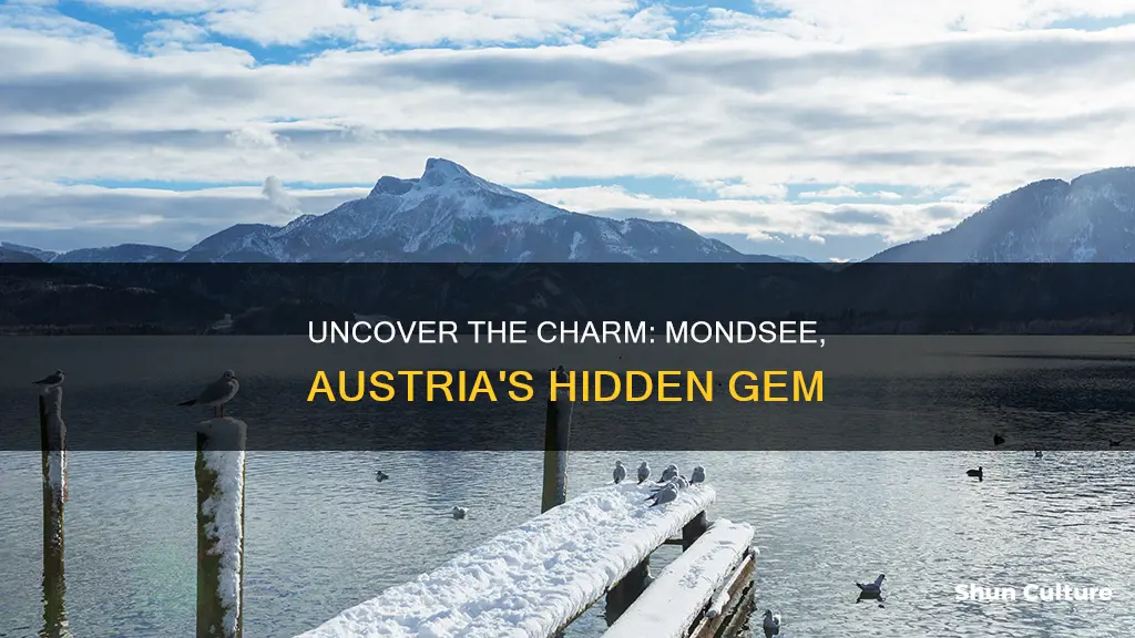 where is mondsee austria