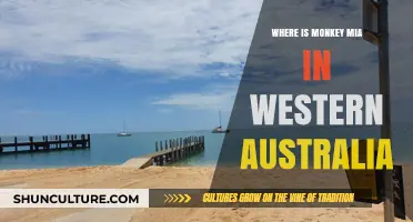 Exploring Monkey Mia, Western Australia's Primate Paradise