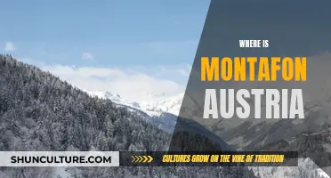 Montafon, Austria: A Hidden Gem in the Alps